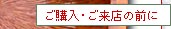 wEX̑OɃy[WփWvI